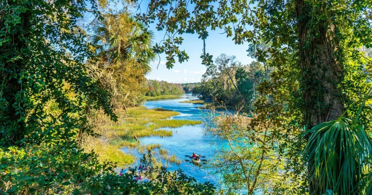 Ocala, Fl Insurance agent